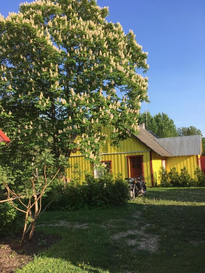 Проживание в семье Kuraga Homestay in Kihnu Lemsi-16